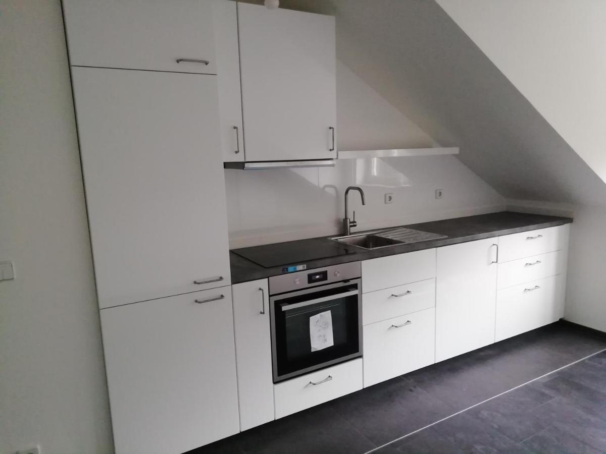 Ferienwohnung Am Stadtpark Chemnitz Exterior foto